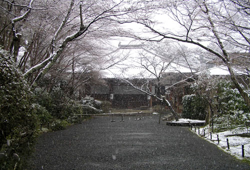 京都、春の雪（2）_e0048413_212215100.jpg