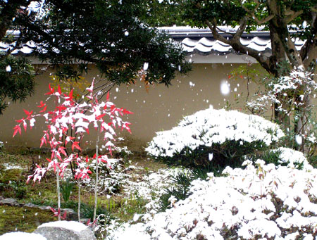 京都、春の雪（1）_e0048413_214153.jpg