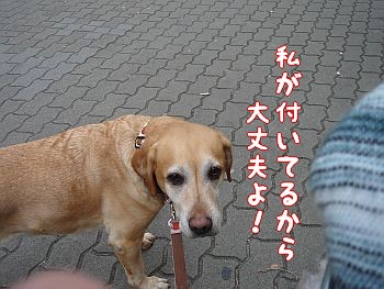 c0087521_11251629.jpg