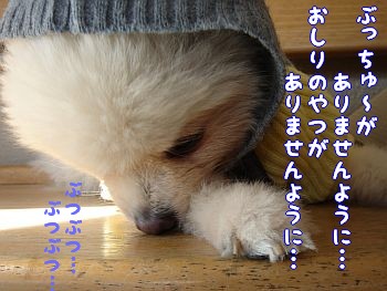 c0087521_1125473.jpg