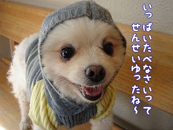c0087521_1281431.jpg
