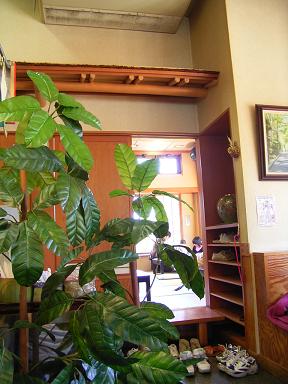 a0050728_14565226.jpg
