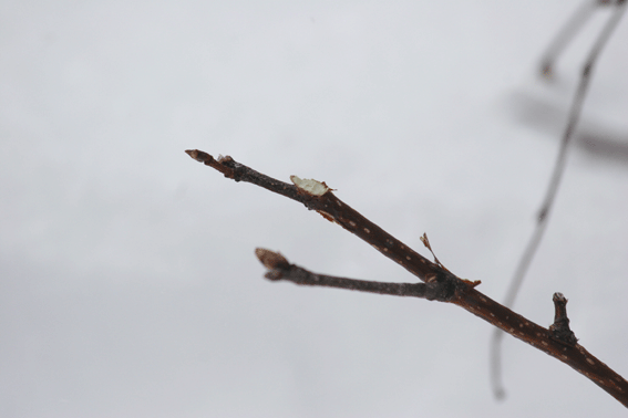 d0069235_2164425.gif
