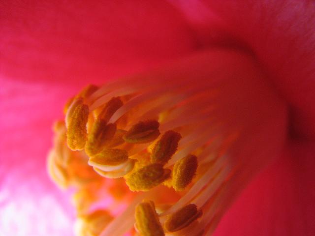 f0099535_8455613.jpg