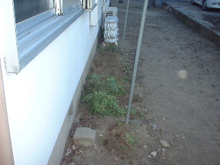 賃貸物件の定期管理_f0031037_1446111.jpg