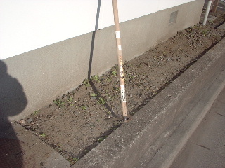 賃貸物件の定期管理_f0031037_1446354.jpg