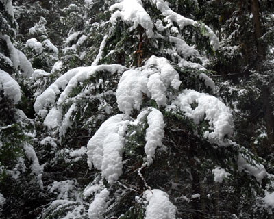 e0035757_2150171.jpg