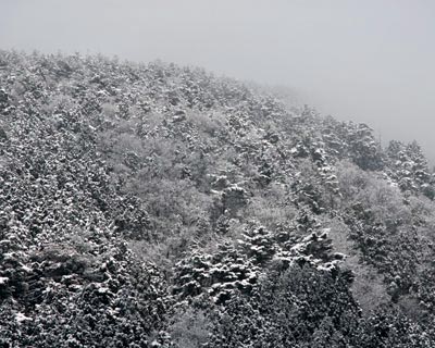 e0035757_2253058.jpg