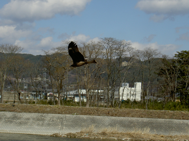 a0053063_1233076.jpg