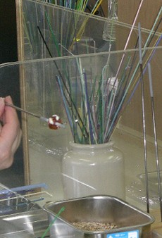 f0125182_1016466.jpg