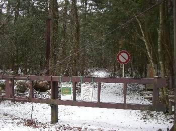 f0125182_9585349.jpg