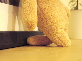 c0089792_1511035.jpg