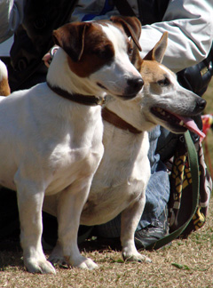 f0080105_1040556.jpg
