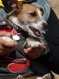 f0080105_10431869.jpg
