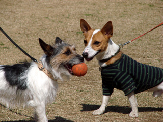 f0080105_10453676.jpg