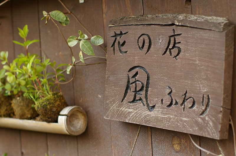 c0082606_11611.jpg