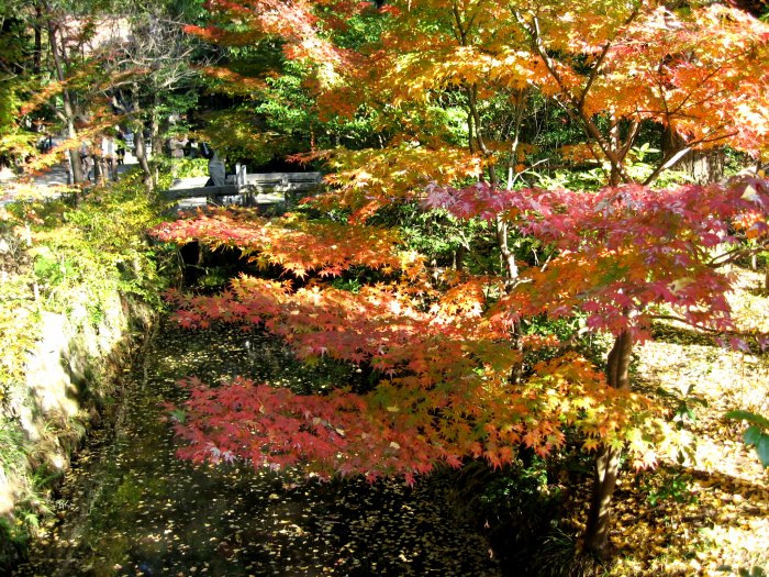 鎌倉錦秋編(7)：鎌倉宮・覚園寺・瑞泉寺・国宝館(06.12)_c0051620_613088.jpg