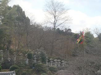 b0110035_094410.jpg