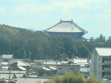 b0110035_09723.jpg