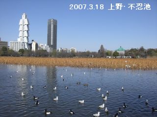 a0052666_23183144.jpg