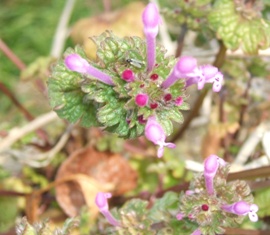 f0088569_22103753.jpg