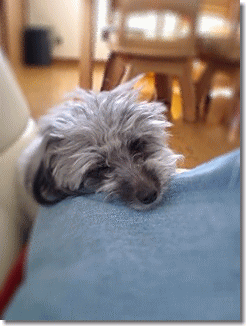 e0087693_11461543.gif