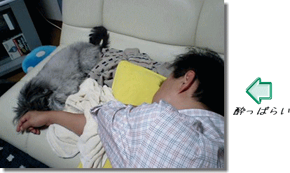 e0087693_11463092.gif