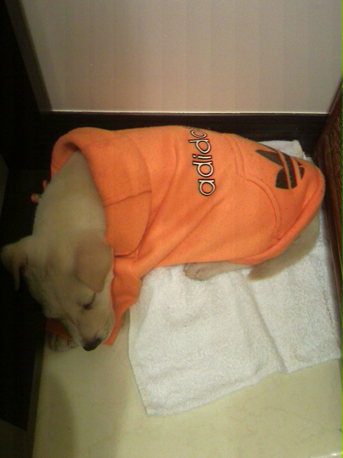 e0023100_041989.jpg
