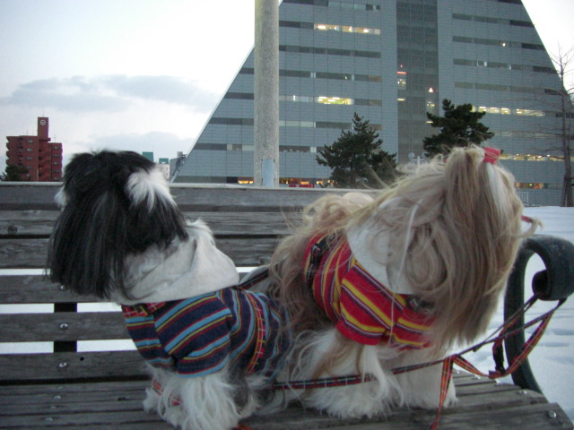 e0050801_0374816.jpg