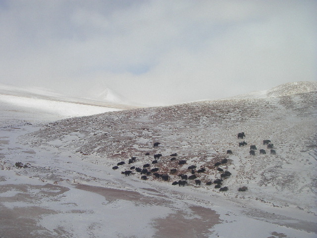 f0038407_1993916.jpg