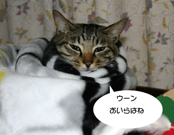 a0041108_2054174.gif