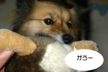 a0041108_214522.gif