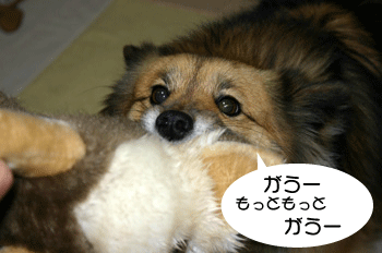 a0041108_2172635.gif