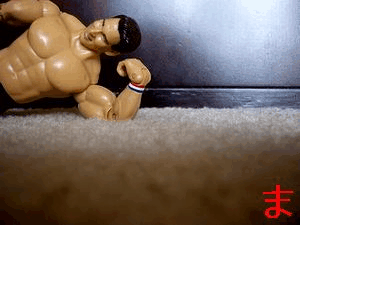 a0082019_14503097.gif