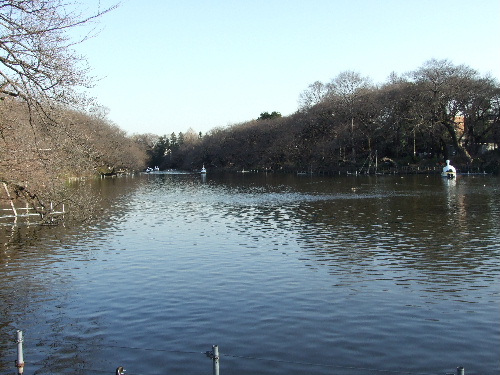 「吉祥寺 Cafe RIGOLETTOのピッツァ」_a0000029_2362146.jpg