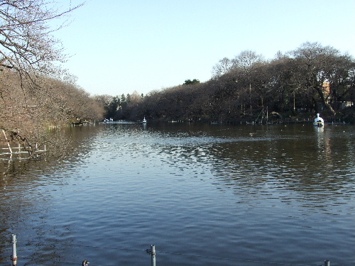 「吉祥寺　Cafe RIGOLETTOのピッツァ」_a0000029_2362146.jpg