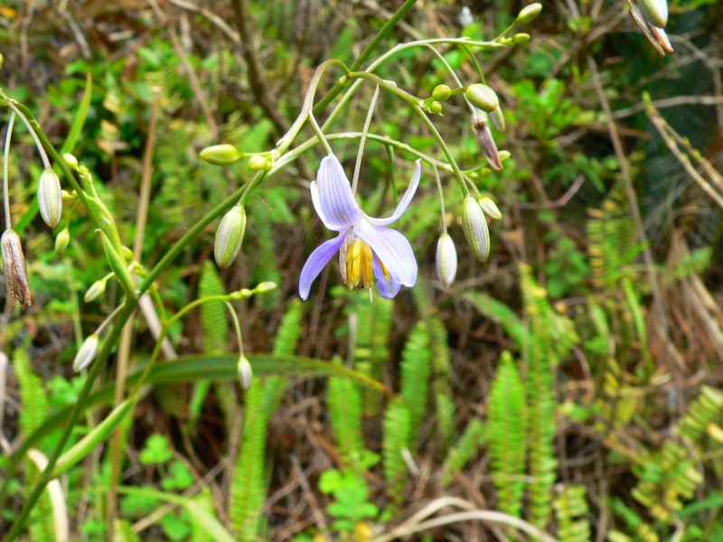 d0053930_75433.jpg