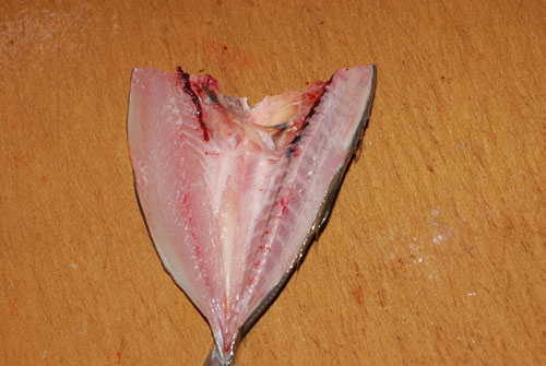 「鯵フライ用」の捌き方............ 丁寧に説明しますよ〜！_d0069838_20595619.jpg