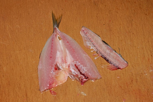 「鯵フライ用」の捌き方............ 丁寧に説明しますよ〜！_d0069838_2112179.jpg
