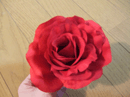 薔薇は薔薇は・・・_a0085647_22223245.gif