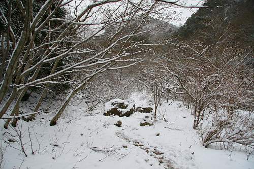 雨男、堂満岳を登る。　その２_f0073587_0372267.jpg