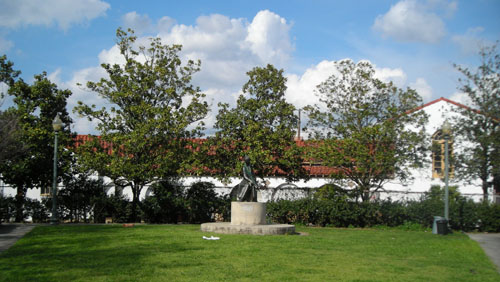 d0000995_10543380.jpg