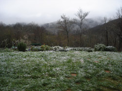 3月の雪_f0106597_17543419.jpg