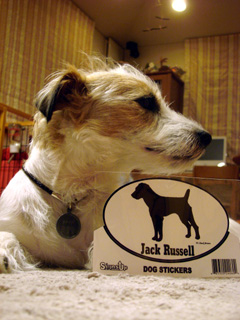 f0080105_22475471.jpg