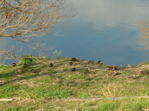 c0000718_1448121.jpg