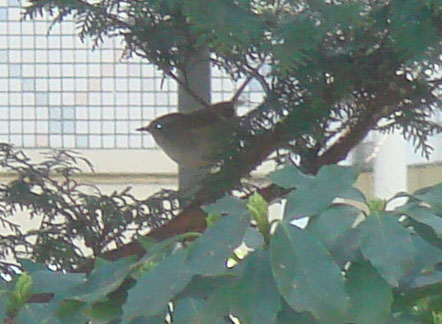 c0000718_14504555.jpg