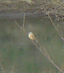 c0000718_14543210.jpg