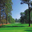 オーガスタ・ナショナル・ゴルフクラブ（Augusta National Golf Club）_a0019032_1315117.gif