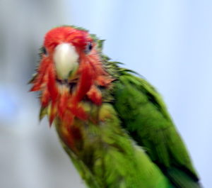 a0058941_20564866.jpg