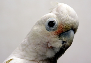 a0058941_2057320.jpg